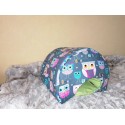 dodo igloo