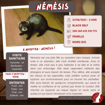 Némésis