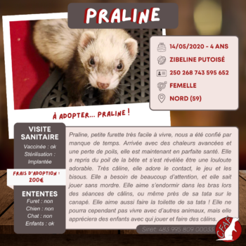 Praline